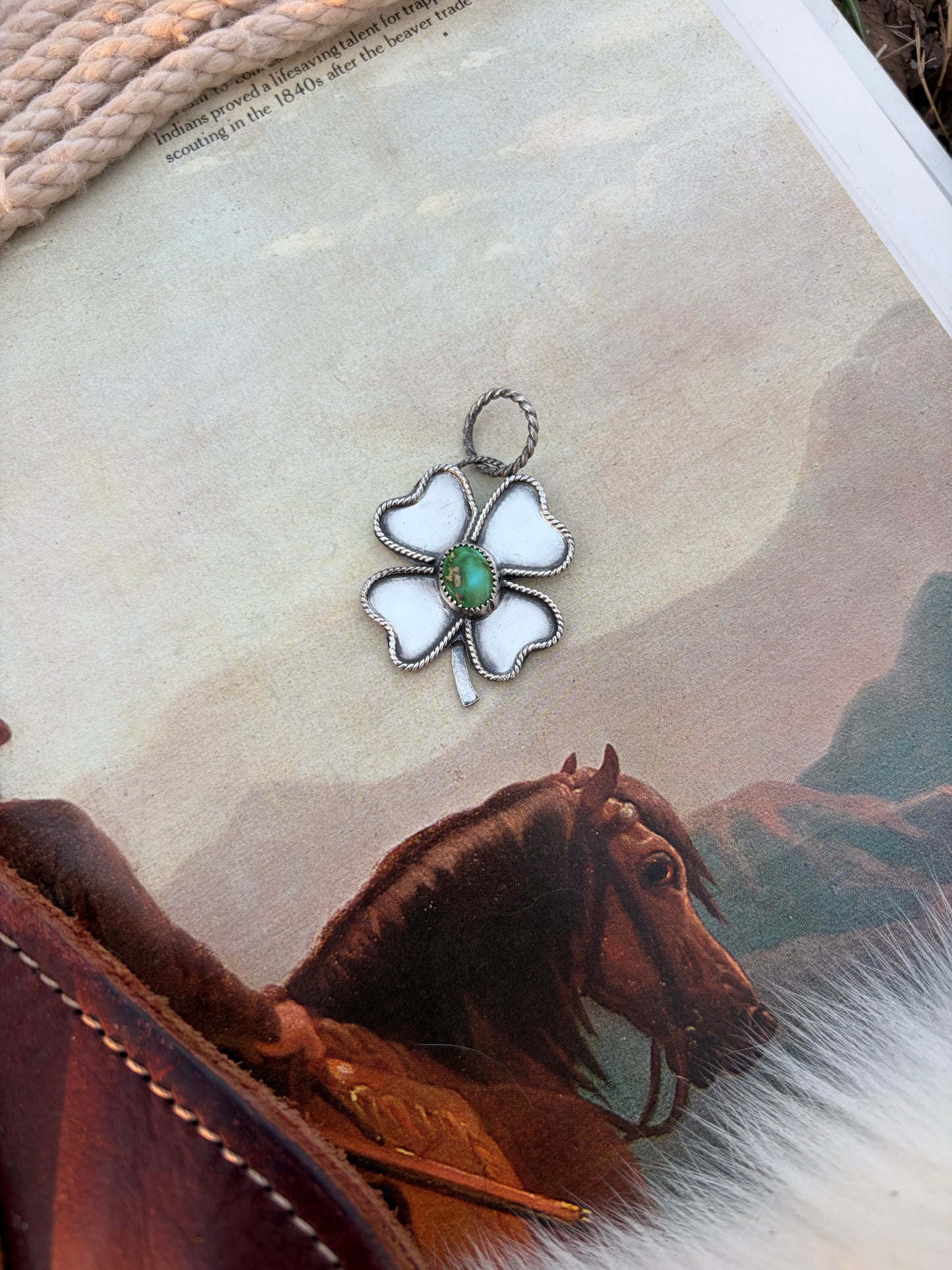 The Sonoran Clover