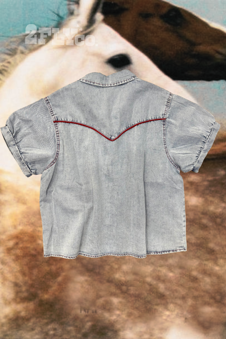 LIGHT COWGIRL DENIM TOP