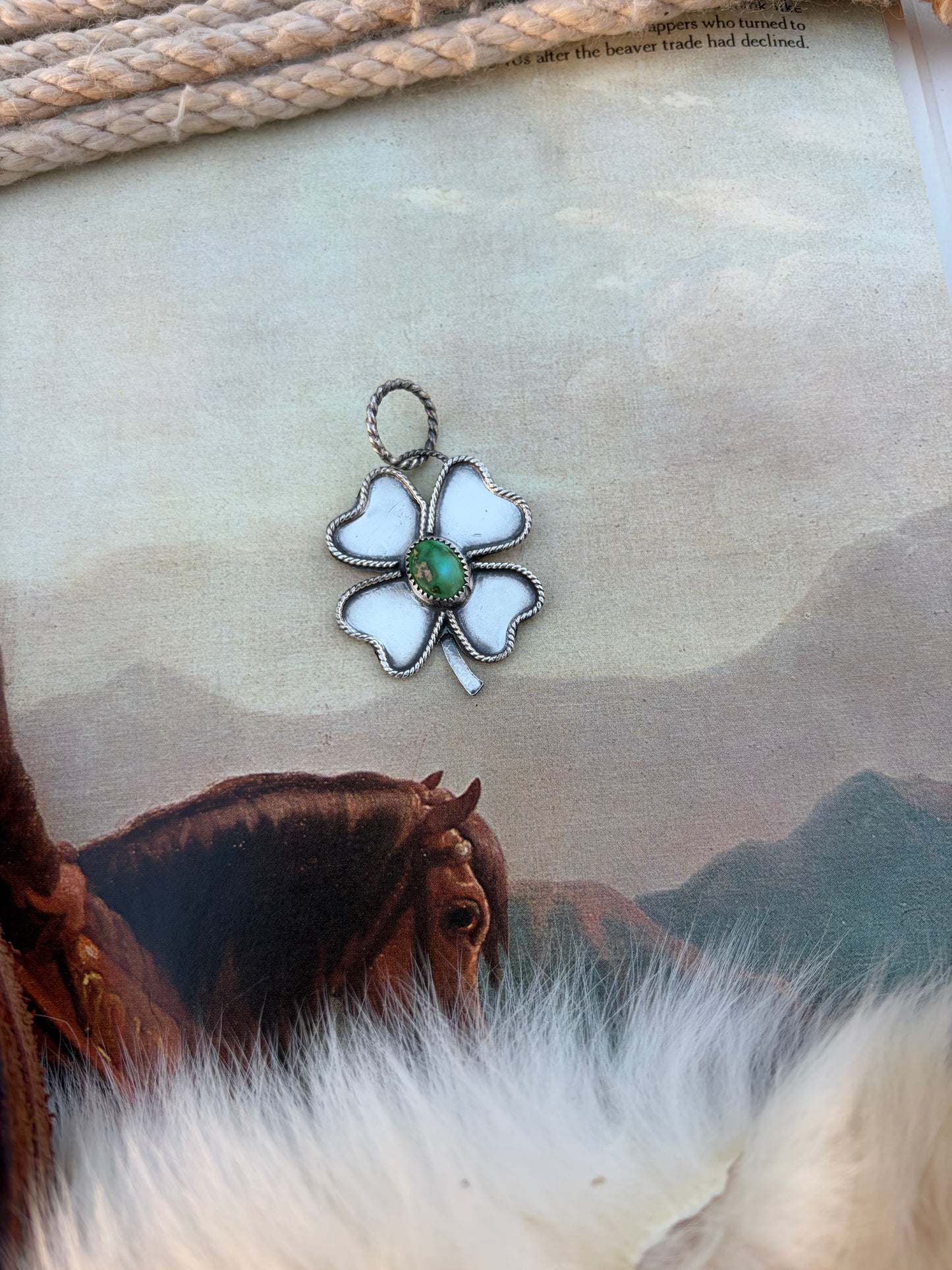 The Sonoran Clover