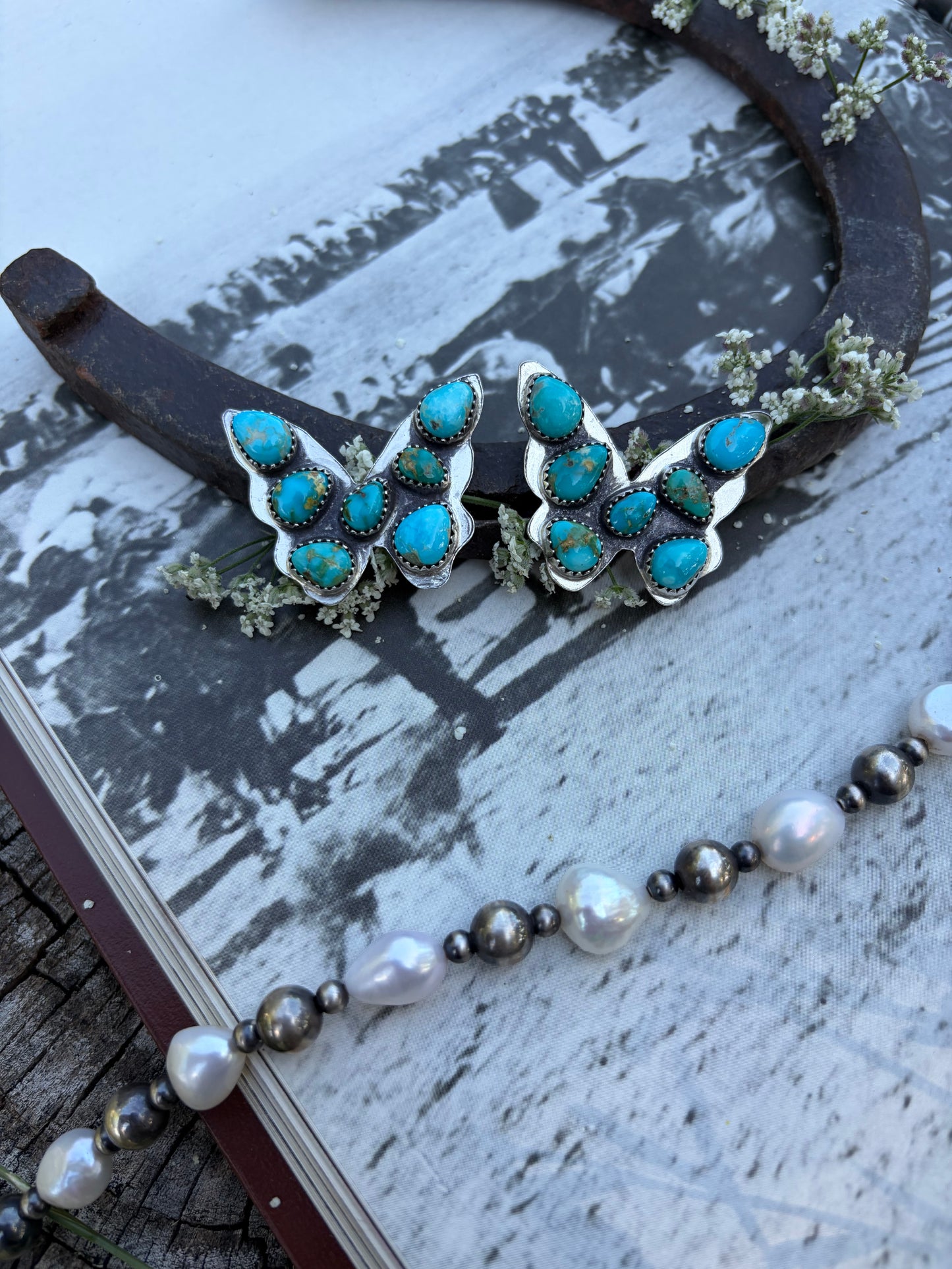 Wings of the West Earrings